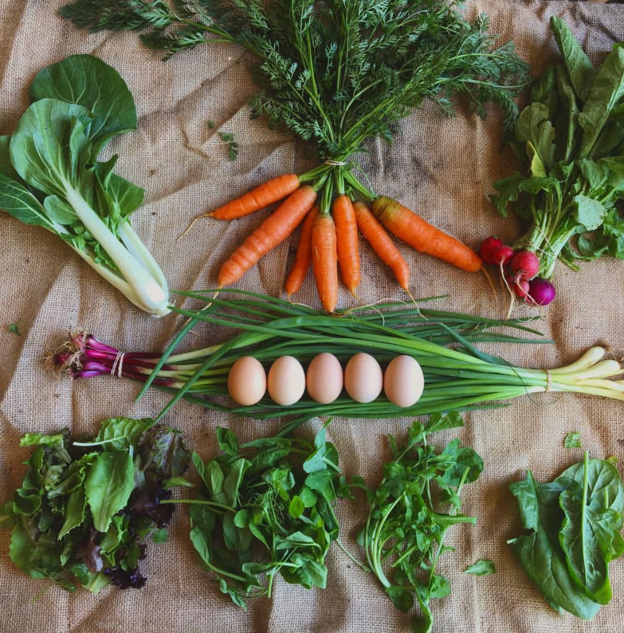 Spring CSA share