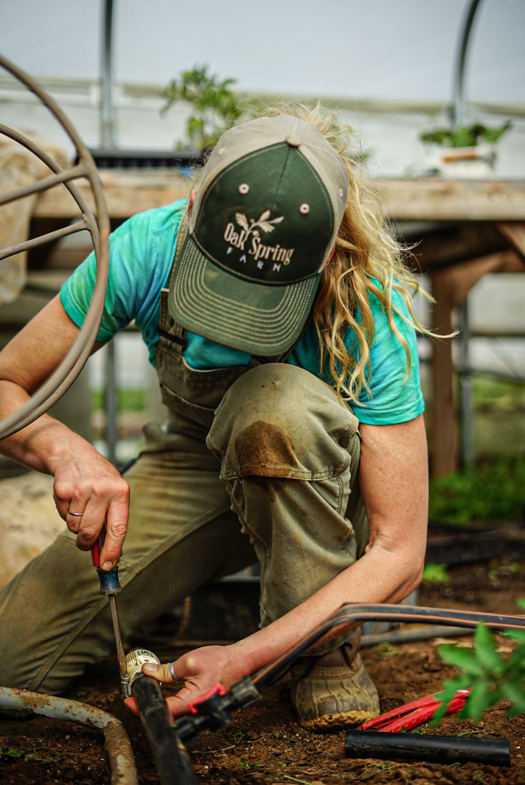 Organic farming